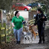 The boarding kennels business helps to keep the animal sanctuary afloat