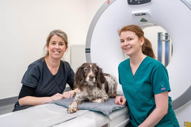 Surgical Director Lisa Flood and Head Veterinary Nurse Michelle Rewcastle and her dog Roxy.
