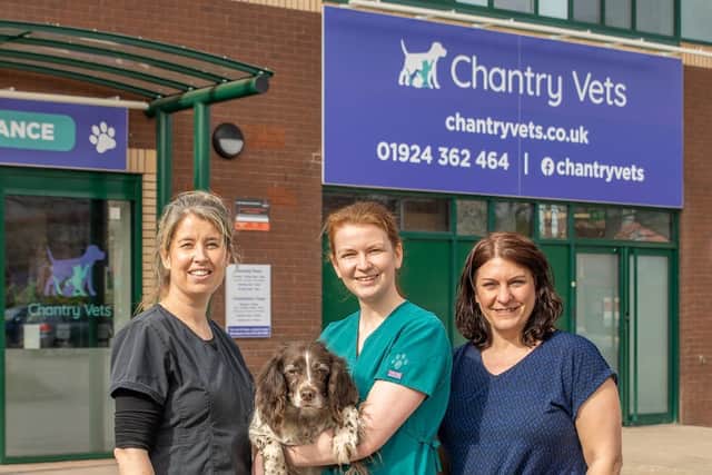 Surgical Director Lisa Flood, Head Veterinary Nurse Michelle Rewcastle and her dog Roxy, and Operations Manager Vicki Pearce.