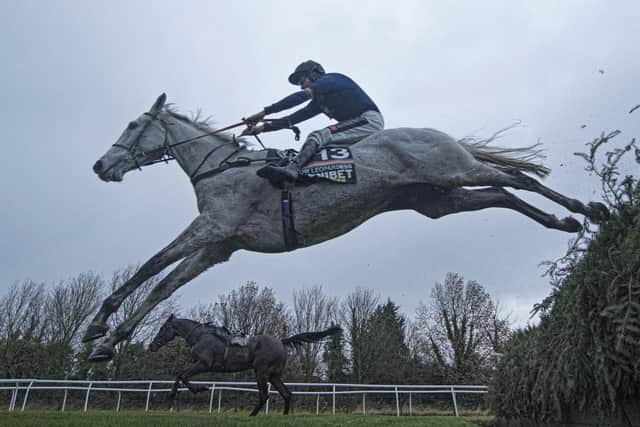 Becher Chase winner Snow Leopardess is now guaranteed a place in the Randox Grand National field.