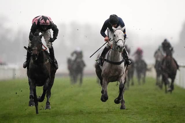 The grey Snow Leopardess 9right) won the U nibet Becher Chase over the Grand National course from the fast finishing Hill Sixteen (left).