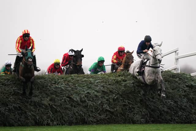 The grey Snow Leopardess (right) clears The Chair in the Unibet Becher Chase at Aintree. On the left in the red and yellow cap is Top Ville Ben who could represent Catterick trainer Phil Kirby in the National.