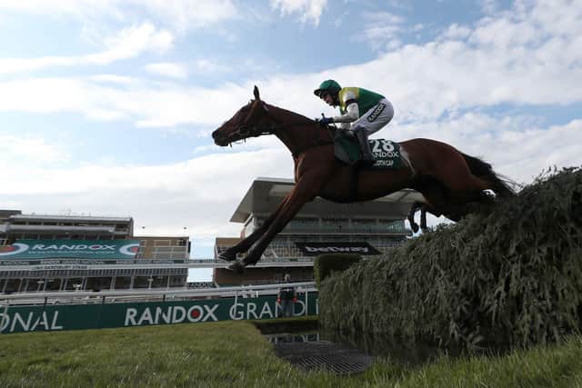 This was the Tom Scudamore-ridden Cloth Cap in last year's Randox Grand National at Aintree.