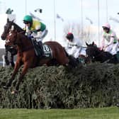 This was the Tom Scudamore-ridden Cloth Cap (green cap) in last year's Randox Grand National at Aintree.