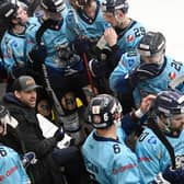 Coach Greg Wood believes his Sheffield Steeldogs team have what it takes to hold off Telford Tigers tonight. Picture: Bruce Rollinson