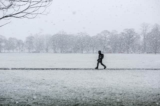 Snow falling in Harrogate (Pic: Ernesto Rogata)