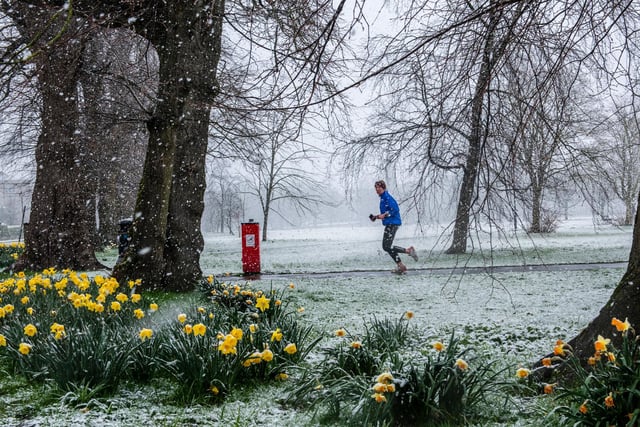 It comes just days after Yorkshire was bathed in sunshine as spring looked to be on its way