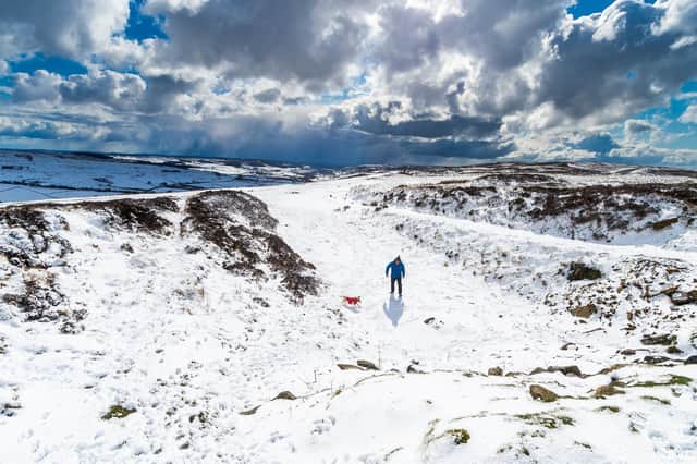 A man and his dog walk on the North York Moors (Pic: James Hardisty)