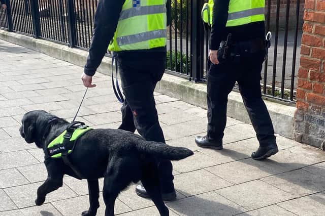 A popular operation returned to the Avenues in Hull on Tuesday as the Hull West Neighbourhood Policing Team (NPT) were joined by a passive drugs dog, colleagues from other areas, and representatives from Hull City Council.