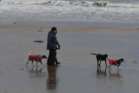 Dogs began falling ill in January, suffering from vomiting and diarrhoea, after visiting beaches in Yorkshire