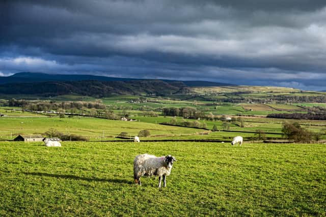 Livestock owners are being warned that one of the costliest crimes to the farming industry, sheep thefts, could become a trend as consumers struggle with increases in the cost of living, higher fuel prices and higher food prices in the supermarket.