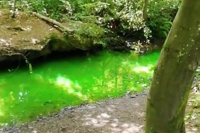 The Porter Brook river in Sheffield after it turned green previously in July 2021 (pic: Tonia Lucas)