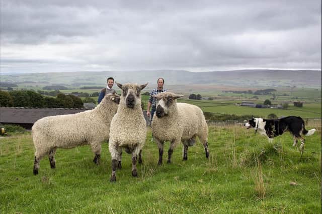 Edward Sexton with John Dawson of Clapham farm, Dawsons of Bleak Bank, from where Glencroft sourced some of the fleece for the Clapdale Wool Project. Picture by Jon Brook