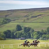 Racehorses in Middleham. (Photo credit: Danny Lawson/PA Wire)