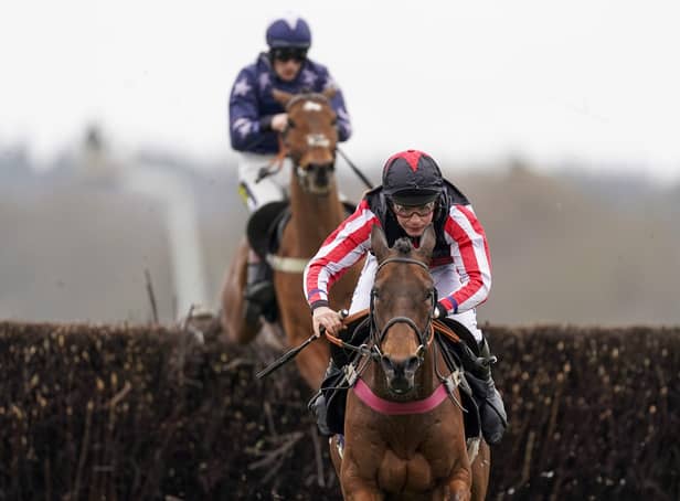 Cracking horse: Funambule Sivola has a live chance in the Marsh Chase at Aintree - the big race on the second day of the Grand National meeting. (Photo by Alan Crowhurst/Getty Images)