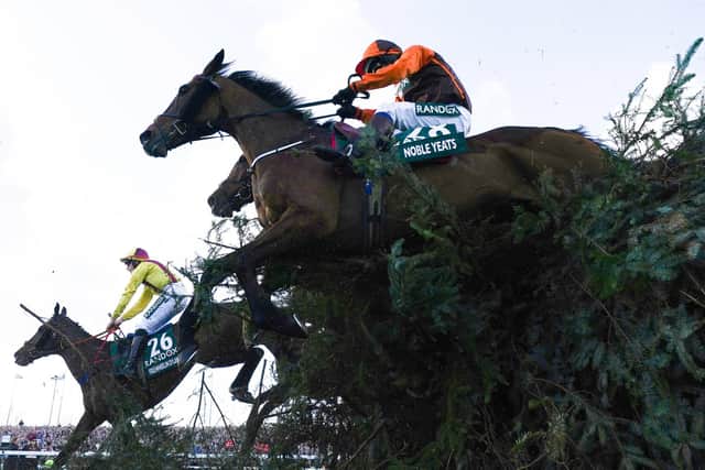 GRAND NATIONAL: Noble Yeats ridden by Sam Waley-Cohen on their way to winning the Randox Grand National. Picture: PA Wire.