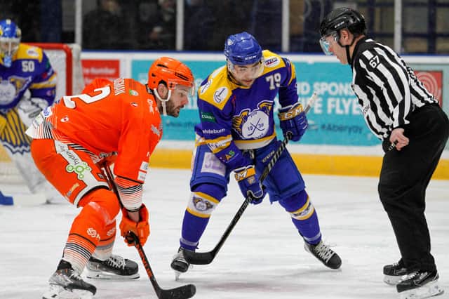 Justin Hodgman (left) says Sheffield Steelers are good enough to win the play-offs. Picture: Dean Woolley.
