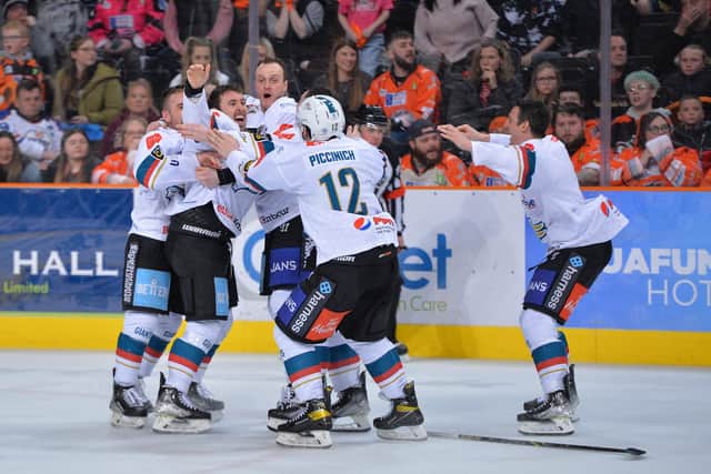 STINGING: Belfast Giants' league championship win in Sheffield on Sunday night hurt the Sheffield Steelers. Picture: Dean Woolley.