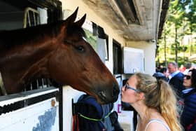 Middleham racing stables open day.Grace Welling kisses champion winner Laurens at Karl Burke's yard back in April 2019. (Picture: Jonathan Gawthorpe)