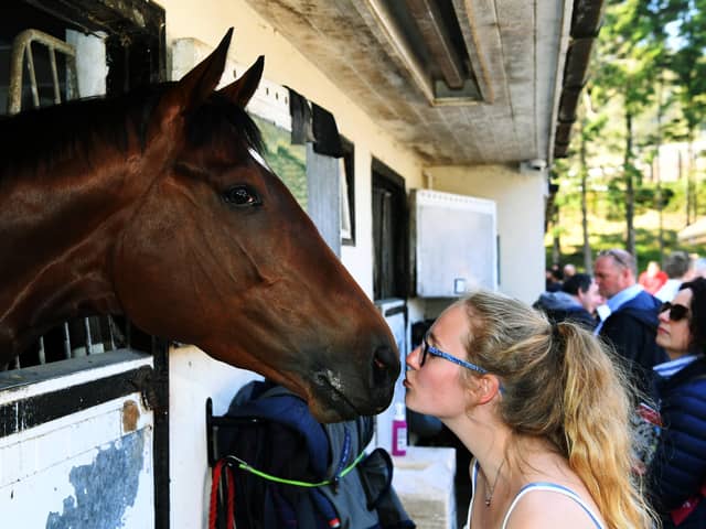 Middleham racing stables open day.
Grace Welling kisses champion winner Laurens at Karl Burke's yard back in April 2019.
 (Picture: Jonathan Gawthorpe)