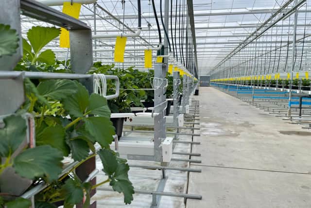 Agrisound, a company specialising in insect conservation and pollination, has installed a number of its innovative listening devices at Dyson Farming in Lincolnshire.