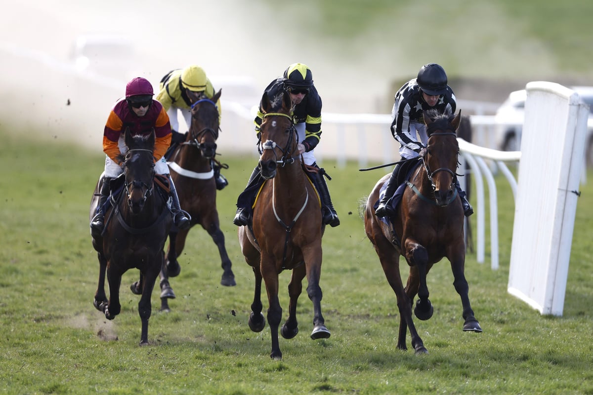 Racecourse fined after jockey was taken to hospital in a horsebox due to lack of ambulance cover