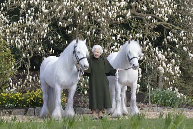 This new portrait of Queen Elizabeth II has been released by The Royal Windsor Horse Show to mark the occasion of her 96th birthday. Queen Elizabeth II holds her Fell ponies, Bybeck Nightingale (right) and Bybeck Katie. henrydallalphotography.com/PA Wire