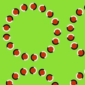 Do you see rotating circles or can you focus hard enough to keep them still? Credit: Robson