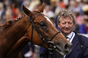 Mark Johnston owns stables in Middleham, North Yorkshire