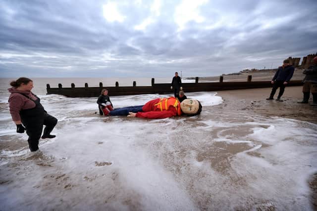 The "survivor" is stranded on the beach at Withernsea  Picture: Richard Ponter