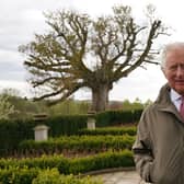 The Prince of Wales, patron of The Queen's Green Canopy (QGC), stands beside the 'Old Sycamore' in the Dumfries House garden, as he unveils a nationwide network of seventy ancient woodlands and seventy ancient trees, including the sycamore, to be dedicated to his mother, Queen Elizabeth II, in celebration of the Platinum Jubilee. PIC: Andrew Milligan/PA Wire