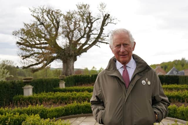 The Prince of Wales, patron of The Queen's Green Canopy (QGC), stands beside the 'Old Sycamore' in the Dumfries House garden, as he unveils a nationwide network of seventy ancient woodlands and seventy ancient trees, including the sycamore, to be dedicated to his mother, Queen Elizabeth II, in celebration of the Platinum Jubilee. PIC: Andrew Milligan/PA Wire