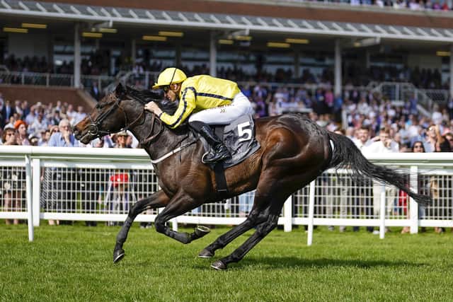 Down the field: Perfect Power finished seventh in the 2,000 Guineas and may now try for the Commonwealth Cup. (Photo by Alan Crowhurst/Getty Images)