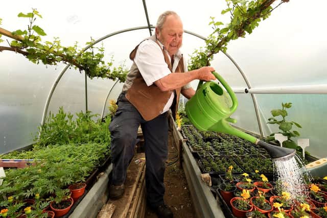 Phil Gomersall, president of the National Allotment Society, pictured on his plot in Rawdon. Image: Simon Hulme