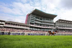 Racing legend: Stradivarius ridden by Frankie Dettori wins the Weatherbys Hamilton Lonsdale Cup Stakes during last season's Ebor meeting - his fifth win at the Knavesmire. Picture: Nigel French/PA Wire.