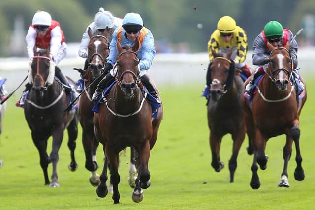 King of York: Tim Easterby's Great Habton-trained Copper Knight has won six races at York - including last season's  Sky Bet And Symphony Group Handicap under David Allan. Picture:  Nigel French/PA Wire.