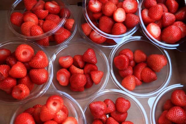 Strawberry crop 50 per cent up on last year.