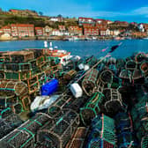 Whitby harbour picture by James Hardisty.