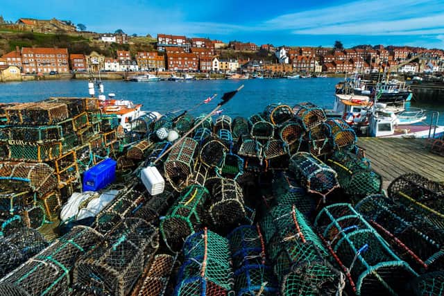 Whitby harbour picture by James Hardisty.