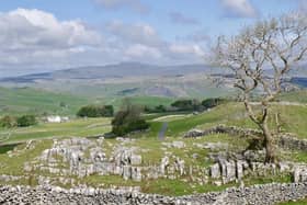 Planning professionals have backed a proposal to launch a café "half-way up Ingleborough", despite a Yorkshire Dales parish council warning it will exacerbate litter issues in the national park.