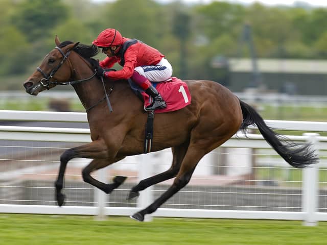 Class act: The unbeaten Emily Upjohn, trained by John and Thady Gosden, is the ante-post favourite for the Musidora Stakes at York. Picture: Photo by Alan Crowhurst/Getty Images