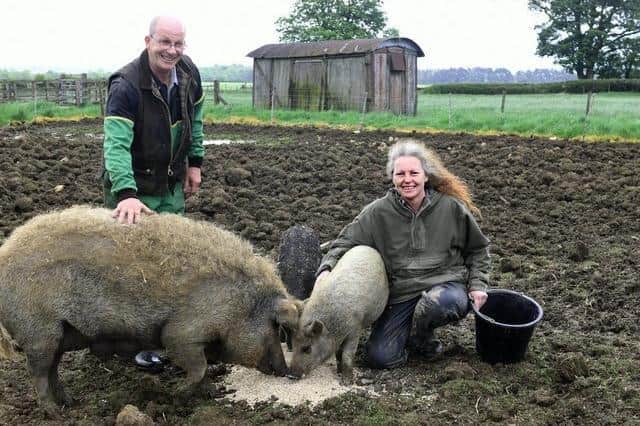 Tim Otterburn and Lisa Hodgson with their Mangalitza pigs