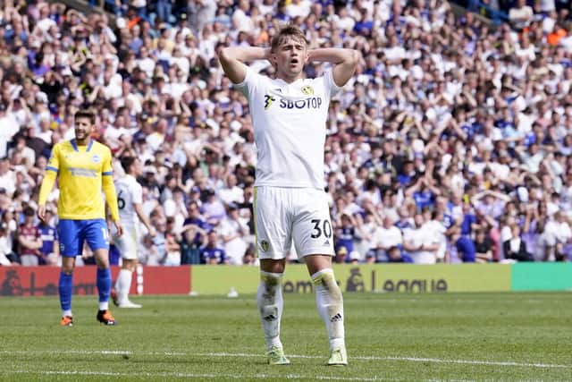 Leeds United's Joe Gelhardt reacts after a missed chance against Brighton (Picture: PA)