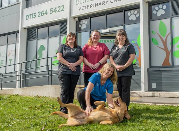 Members of the Beechwood Vets team. Back row, left to right, practice manager Kelly Mann, deputy head nurse Kerry Nicholson, head receptionist Andrea Gaunt and, front, clinical director Louise Mallinson with Freddie the Labrador.