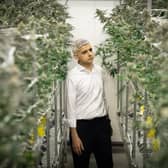 Mayor of London Sadiq Khan walks through cannabis plants which are being legally cultivated at a licensed factory in Los Angeles. Picture: Stefan Rousseau.