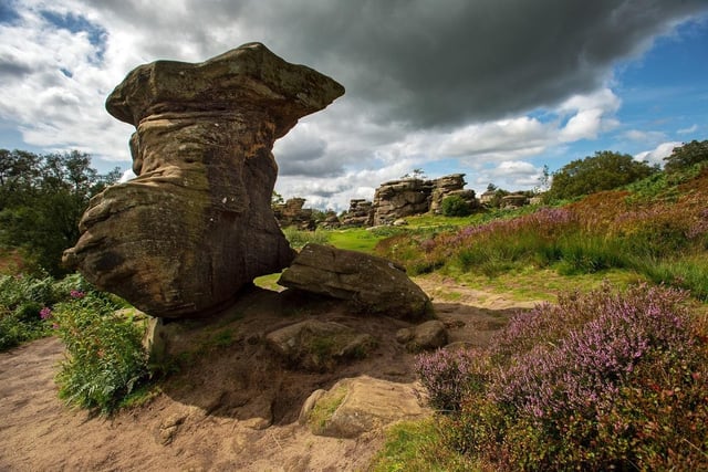 The biological Site of Special Scientific Interest is on Brimham Moor in the Nidderdale Area of Outstanding Natural Beauty. 

It is known for its water and weather-eroded rocks where children can climb. 

Visitors re-discovered the area in the 18th century and it is believed that the rocks were stacked on top of each other by ancient druids. The rocks are around 320 million years old.