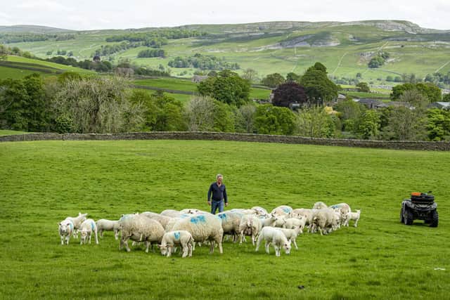 John Bownass with his flock