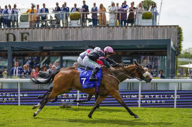 Look out for him: Jason Hart (pink cap) renews his partnership with Look Out Louis (pink cap) in the £50,000 William Hill Best Odds Guaranteed Handicap at York tomorrow.
(Photo by Alan Crowhurst/Getty Images)