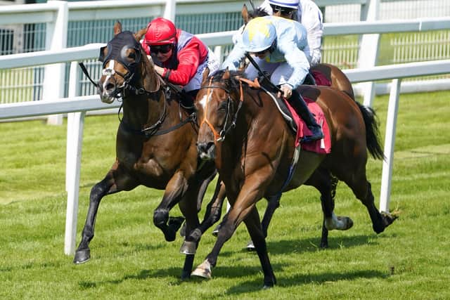 Edged out: Liam Browne riding Mr Tyrrell (blue) wins The Ewell Handicap from Old News and Joanna Mason (red) at Sandown Park. (Photo by Alan Crowhurst/Getty Images)
