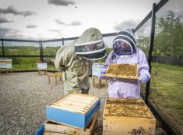 Bee-keepers Sarah Haynes, right,  and Anton Bennett tend to the bees in the brand-new teaching apiary opened at RHS Garden Harlow Carr to celebrate the centenary of the Harrogate and Ripon Beekeepers' Association (HRBKA).